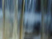 Fotografie 2015 © Claudia Haarmann